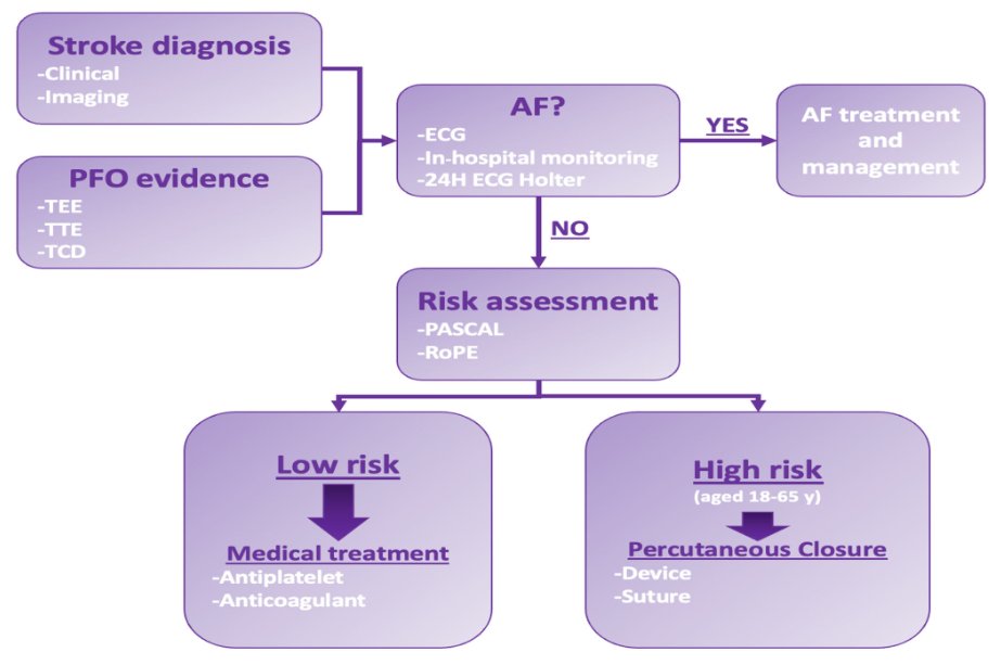 🔴🫀Patent Foramen Ovale: The Unresolved Questions #2024Review #openaccess 

ncbi.nlm.nih.gov/pmc/articles/P…
#cardiology #CardioTwitter #paramedic #medtwitter #CardioEd #cardiovascular #MedEd #cardiotwiteros #medx