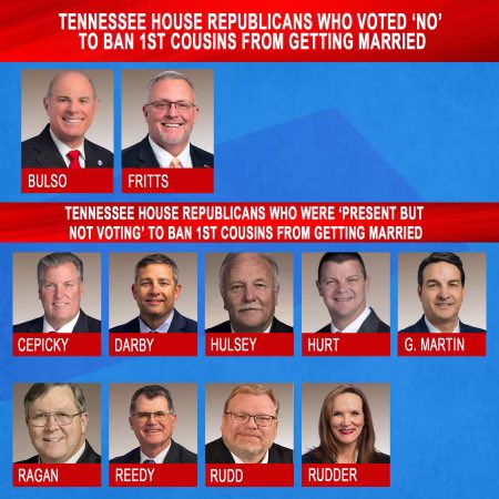 To recap — Here are the @tnhousegop Republicans who didn’t support the ban on 1st cousins getting married 👇🏽
