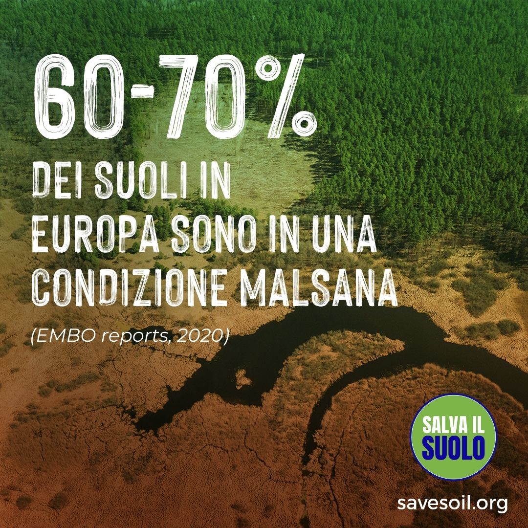 Per migliorare la salute dei suoli dell’UE, i deputati sostengono gli sforzi volti a monitorare e migliorare lo stato ecologico del suolo nell’UE! 🌱 #SaveSoil @cpsavesoil #SaveSoilFixClimateChange #SoilForClimateAction @SadhguruJV @Palazzo_Chigi @Quirinale @SenatoStampa