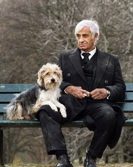 Grand acteur avec un grand COEUR❤️ Son dernier film...un homme et son chien Il y a 15 ans, en mars 2008, Jean-Paul Belmondo tournait sa dernière scène du film « Un homme et son chien ». La dernière scène de sa carrière.