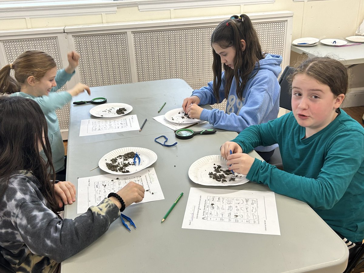 Today we dissected owl pellets. Every experience we’ve had with @science_seed has been so fun and engaging! #medfieldps #beproudbedale