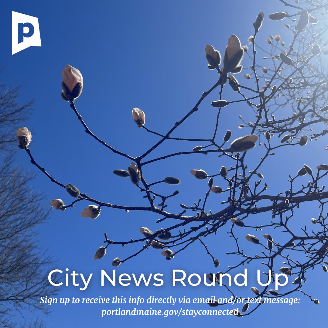 City News Round Up: Friday, April 12, 2024 - alrt.se/u/XEYfPs1VN