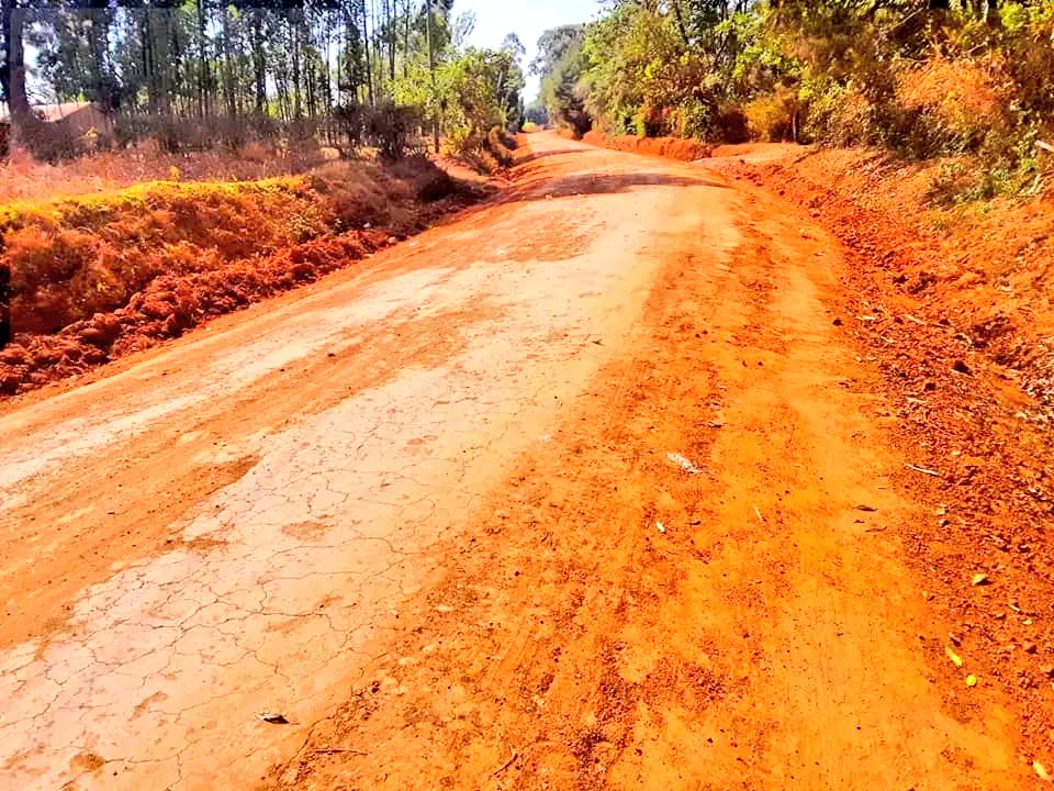 Roads open up areas and stimulate economic and social development. Maintenance of Rashid~Kibingei road is in progress. The road will provide locals access to employment, social, health and education services across the Constituency. #DidmusBarasaGov27