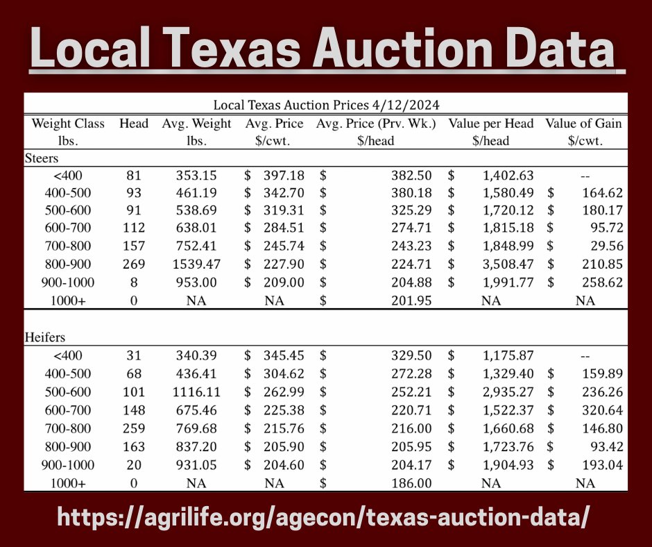 We have an update on Texas auction prices! Let's take a look👇 agrilife.org/agecon/texas-a…