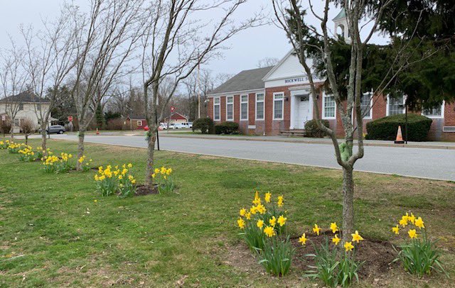 Bristol Warren Regional School District (@bwrsd) on Twitter photo Spring has sprung! 🌷
In the fall, 5th grade community service club members at <a href="/ColtAndrewsBW/">Colt Andrews Elementary School</a> , <a href="/GuiterasRI/">Guiteras Elementary School</a> , and <a href="/Rockwell_School/">Rockwell Elementary School</a> worked with members of the Bristol Garden Club to plant nearly 750 daffodil bulbs at the schools. 🌼 Spring has sprung! 🌷
In the fall, 5th grade community service club members at <a href="/ColtAndrewsBW/">Colt Andrews Elementary School</a> , <a href="/GuiterasRI/">Guiteras Elementary School</a> , and <a href="/Rockwell_School/">Rockwell Elementary School</a> worked with members of the Bristol Garden Club to plant nearly 750 daffodil bulbs at the schools. 🌼