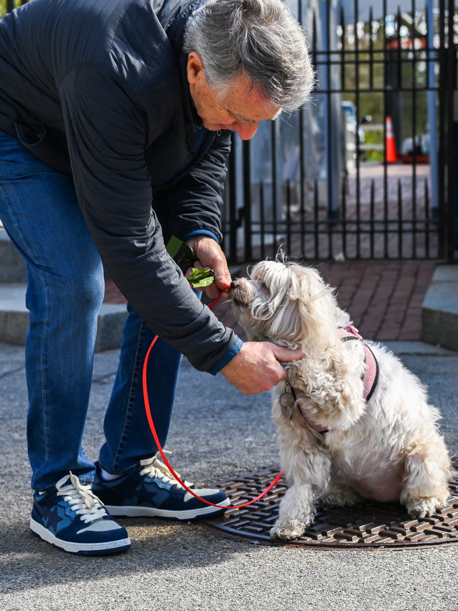 thedogist tweet picture