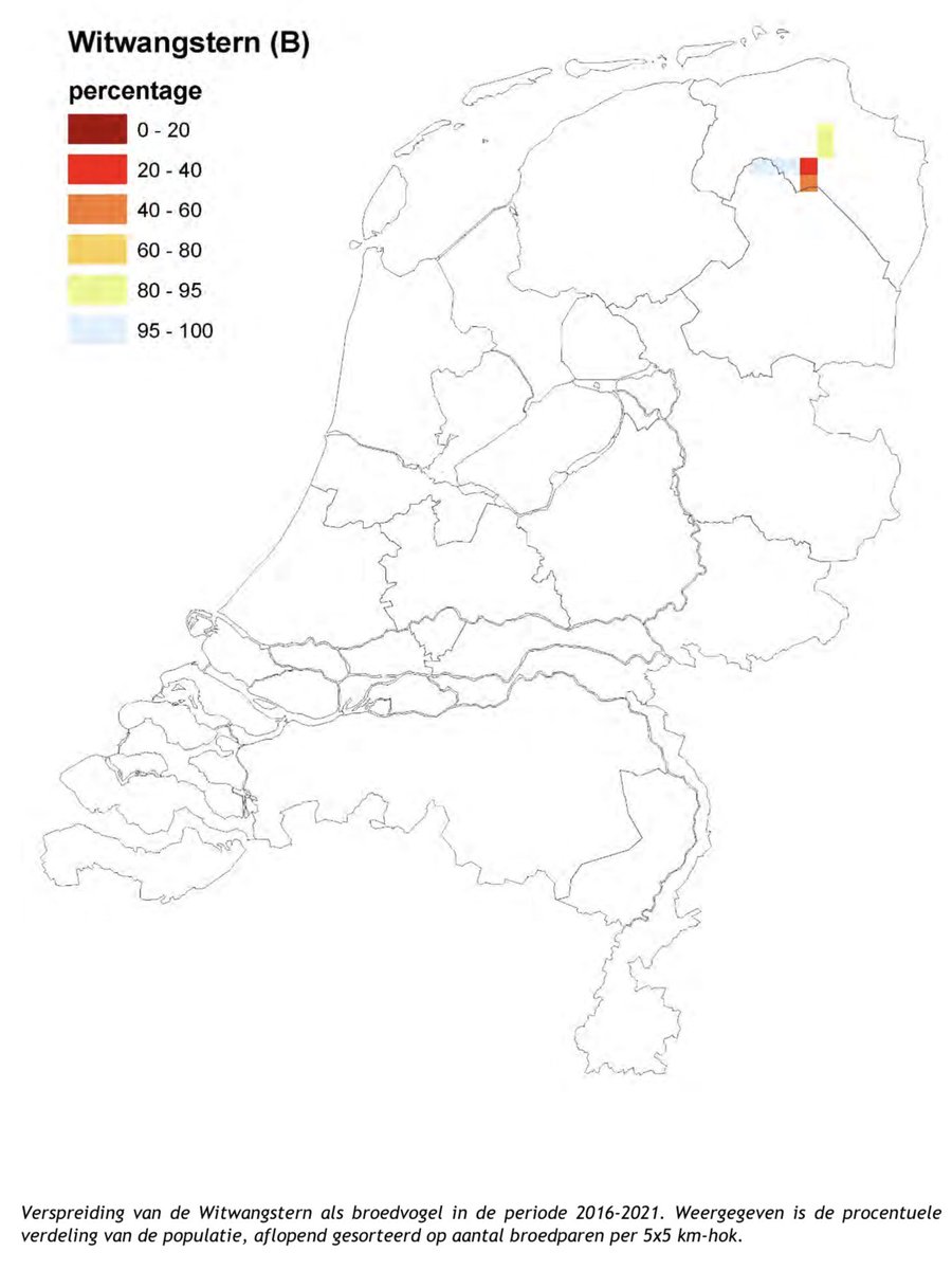 Nieuw rapport van @Sovon met een overzicht van concentraties in NL van vogelsoorten van de Europese Vogelrichtlijn: stats.sovon.nl/pub/publicatie… Van deze soorten zijn de grauwe kiekendief en de witwangstern het meest Gronings: