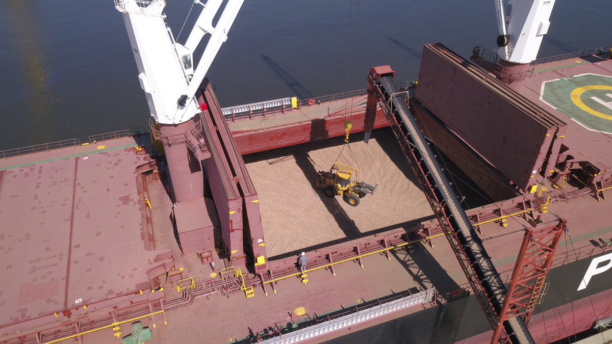 🪵Uruguay realiza la primera exportación de chips de madera cumpliendo con la nueva normativa de la UE sobre productos libres de deforestación. A partir del 31 de diciembre de 2024, la UE exigirá que los productos importados demuestren su origen sostenible. (1/5)