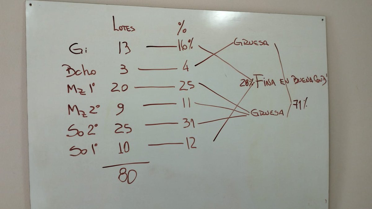 ESQN5's tweet photo. Sobre 80 lotes zona sudeste. Posible rotación de cultivos bajo las normas de rotación consciente.- https://t.co/XASi5Z3xzT