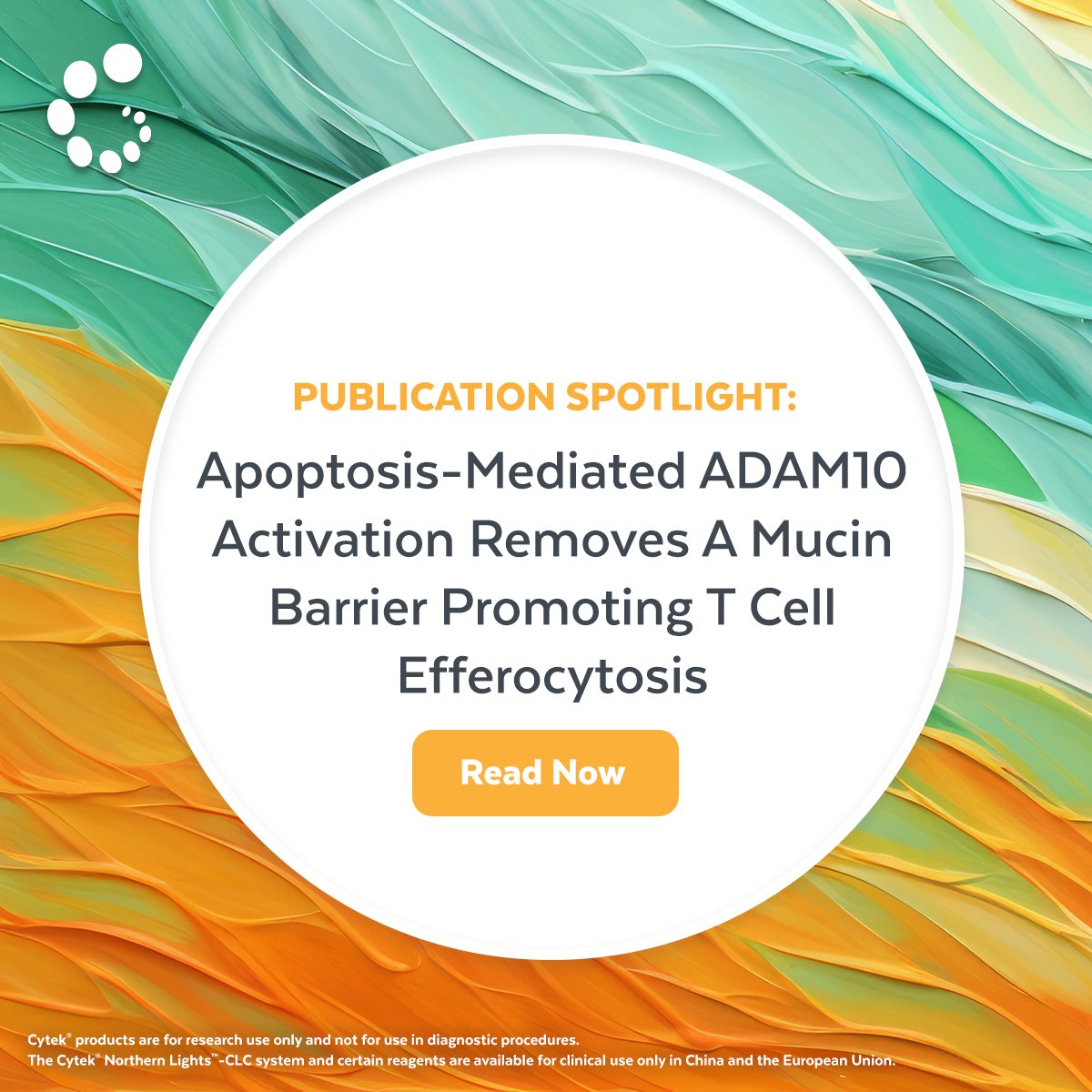 Check out this publication which discusses the role enzymatic regulation of mucins plays in the clearance of apoptotic T cells using a Cytek® Amnis® ImageStream®X Mk II imaging flow cytometer to visualize engulfment of apoptotic vs non-apoptotic T cells. hubs.la/Q02sgZSF0