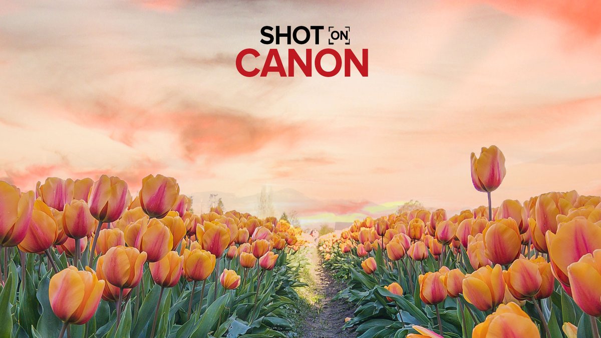 Submit your spring images to #ShotOnCanon: Canon.us/shotoncanon 🌷☀️