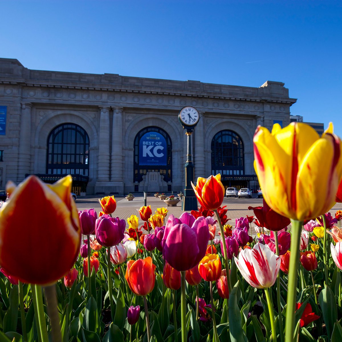 Spring fever is in full bloom around the city! 🌷 ☀️ 📸 : IG/mikeydayphotography 📍 : Union Station