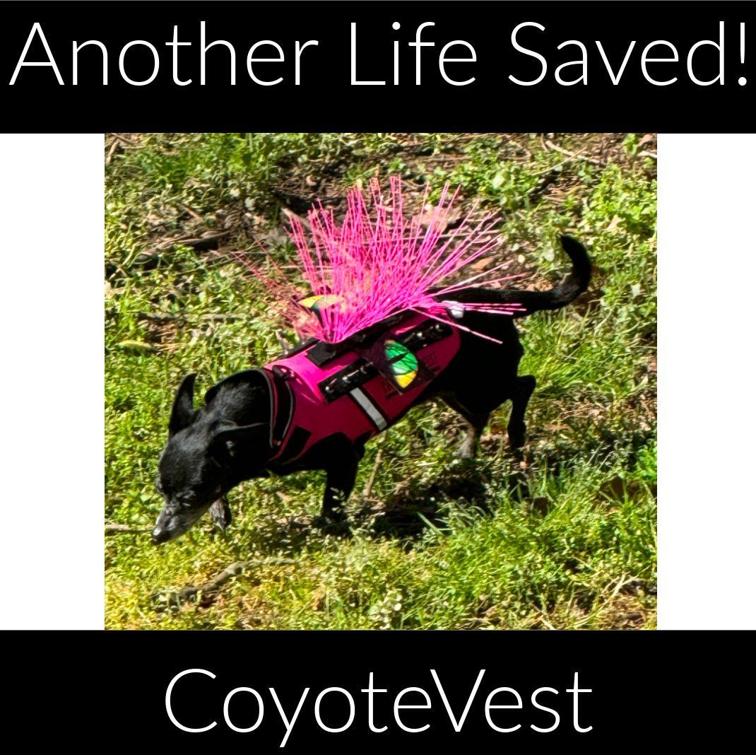 'Fully protected now❤️ ' - Linda B., GA #DogsofIG #Instagood #Petsafety #CoyoteVest