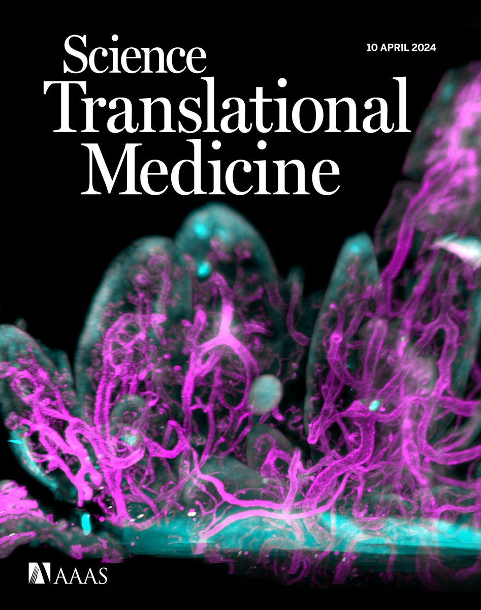 This week's issue of #ScienceTranslationalMedicine is out! A new study suggests that many surgical infections may arise from the patient's own skin microbiome, ultrasoft platelet-like particles staunch traumatic bleeding in large animals, and more. scim.ag/6y5