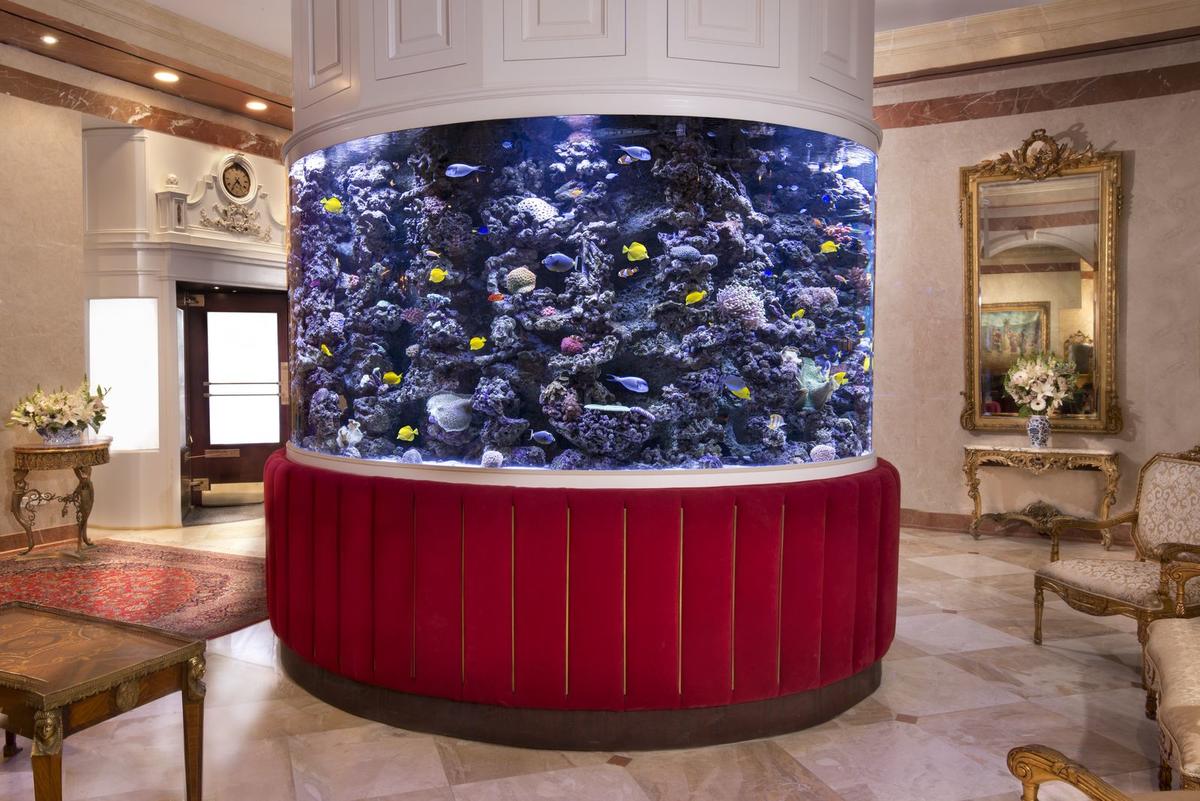 kimberlyhotel's tweet image. 🐠 The Kimberly's circular salt-water aquarium is _______ (fill in the blank in the comments) #mesmerizing #relaxing #entrancing #unique #FillinTheBlank

#kimberlyhotel #hotellobby #boutiquehotel #saltwateraquarium #fishtanks #nyctravel #nychotels #nycboutiquehotel #luxuryhotels