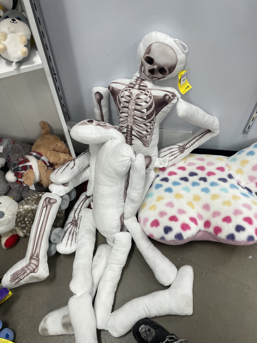 these two weird skeleton plushies were having a very intimate moment on the floor at goodwill today