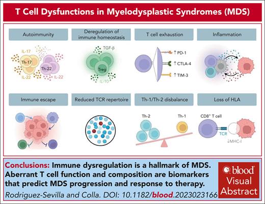 T-cell dysfunctions in myelodysplastic syndromes ow.ly/OTSC50R8Keb #hematopoiesisandstemcells #immunobiologyandimmunotherapy #myeloidneoplasia
