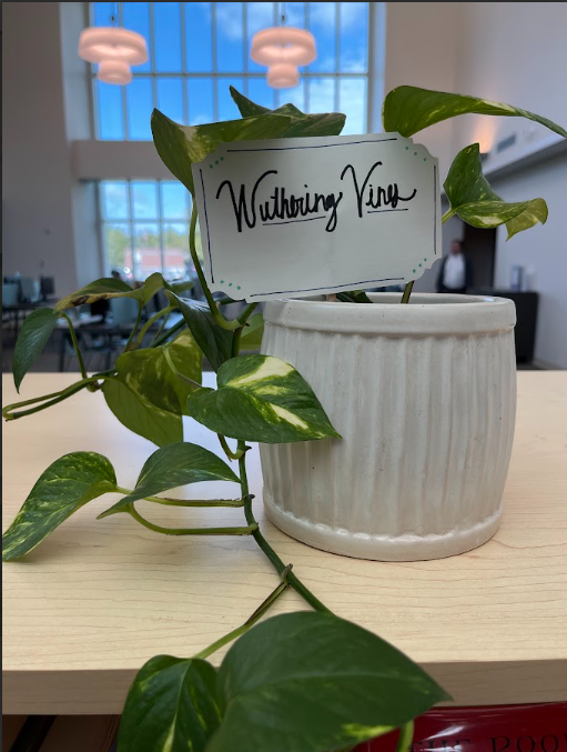 At Islands Library, we've got a few plant friends! Come see us and meet Edgar Allan Pothos or the Wuthering Vines. #LoveYourLibraryYall