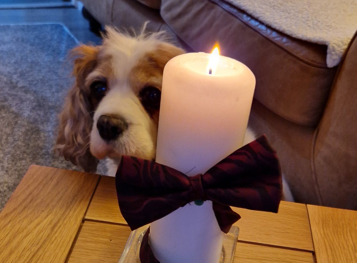 Michaelbayes tweet media