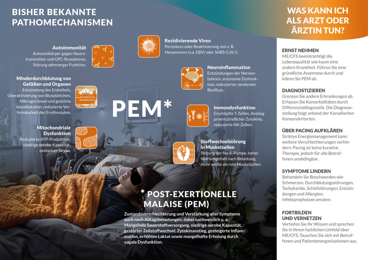 Yeah!
Der neue Ärzti-Flyer zu #MEcfs ist fertig!

PEM wird erklärt und von Pathomechanismen abgeleitet.

Wissenschaftlich fundiert:
Basis-Infos
Links zu weiteren Infos,
wichtigen Veröffentlichungen,
kostenlosen Fortbildungen
und den Quellen

#MEAwarenessHour
1/4