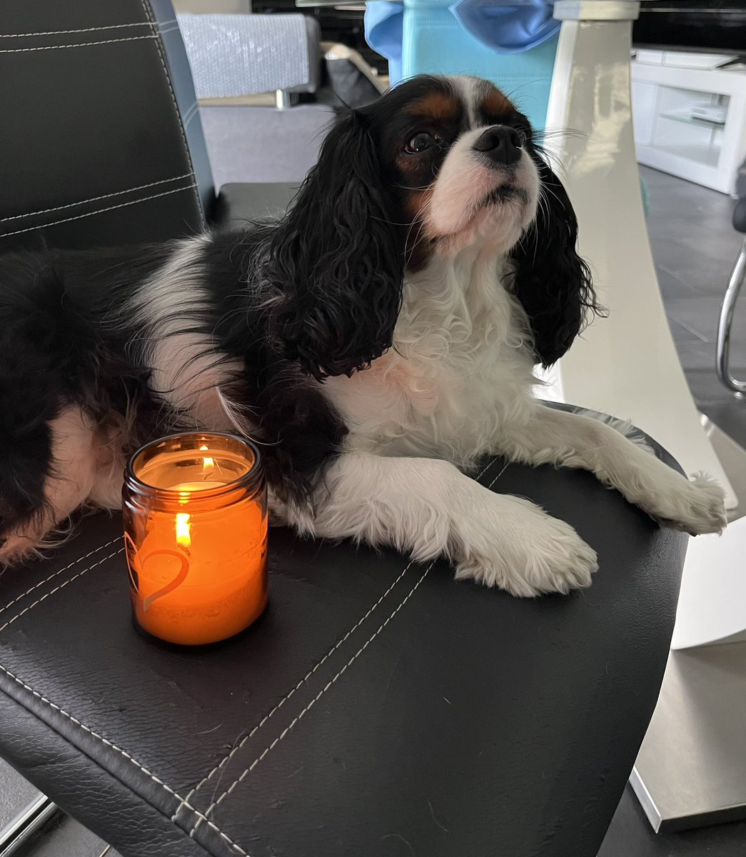 A lighting candle to light your way OTRB 🌈 Ernie❤️. It was a pleasure to follow your adventures, we will miss you a lot. Fly high buddy ❤️. #CavPack #RT @NicPrice22 @Price27P #RememberingErnie #RememberingErn