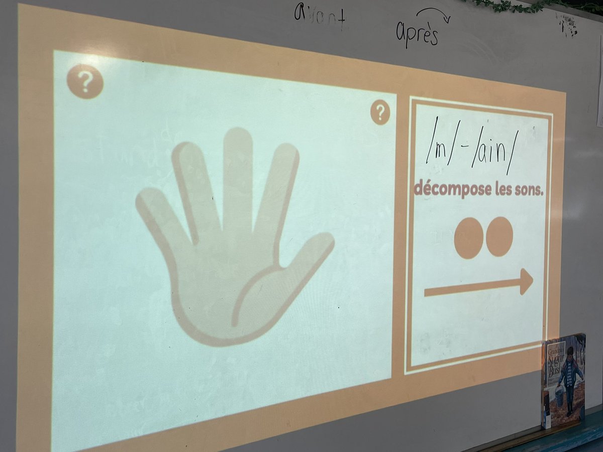 karmau5's tweet photo. Thank you @CourvilleM &amp; @MmeOntario for the incredible resources you shared at @OMLTA! Today we learned about phonemes then worked in small groups to brainstorm words with 2 phonemes. Excited to see our progress #grade1 #FrImm #OMLTA2024 #ONlit https://t.co/YEv53z4iml