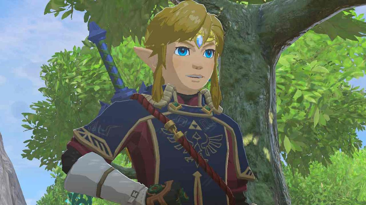 linkkkkk #TearsOfTheKingdom #Zelda