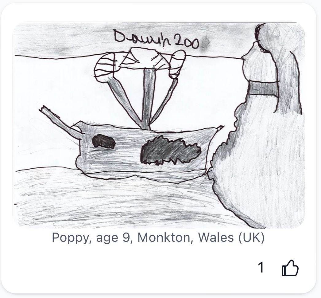 🌍 Our learners were excited to see their entries for the Darwin Doodle competition on the @darwin200_ wakelet. They are looking forward to the winner being announced 🤞🏼 #changetheworld #charlesdarwin #voyage @darwincentre @WG_Education