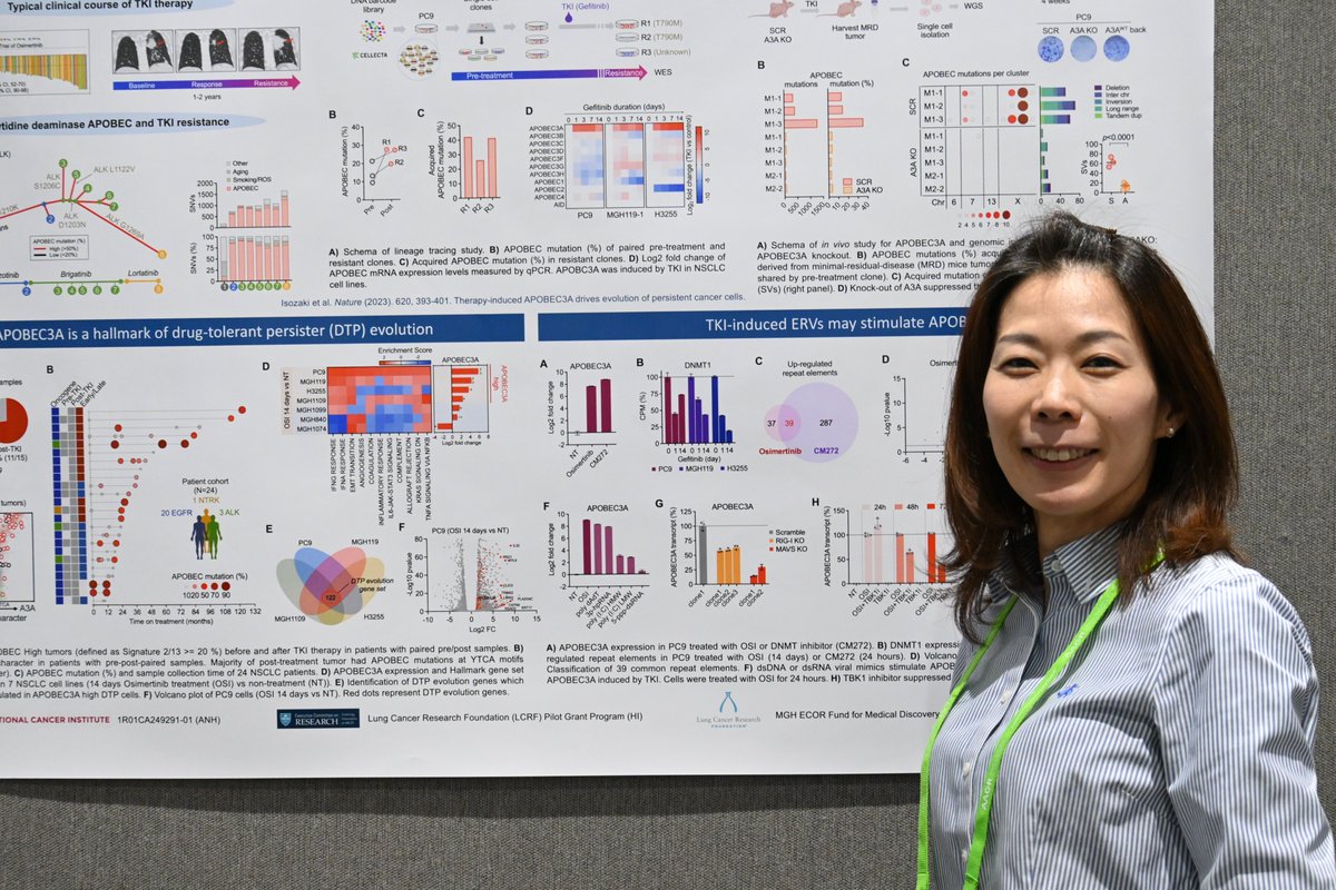 Ludwig @harvardmed's @HidekoIsozaki presented a poster @ #AACR24 titled, 'APOBEC3A drives tumor evolution through activation of ERVs in non-small cell lung cancer.' Her findings enrich our understanding of how this common cancer's develops resistance to a key targeted therapy.