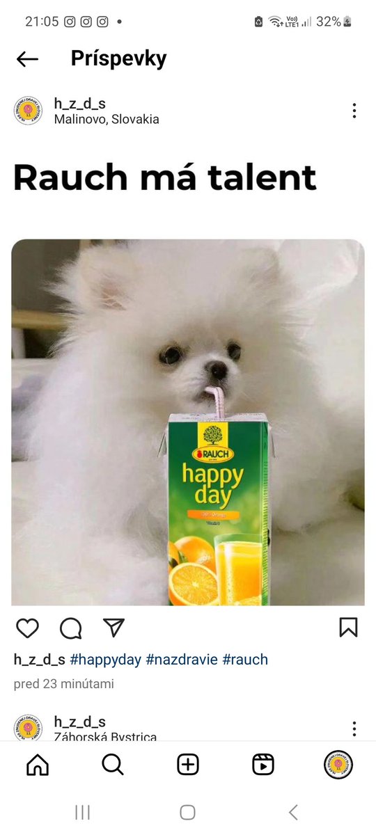 Lucia Pitek (@luciapitek) on Twitter photo 