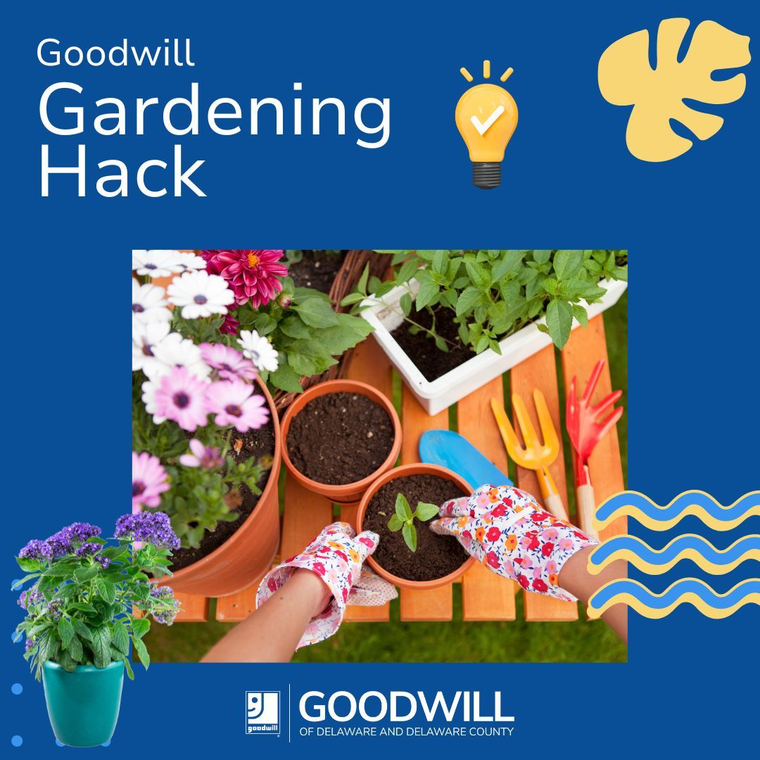 🌼🏡 Visit Goodwill to repurpose one-of-a-kind containers and trays for your plant babies! 🌸 Add charm to your garden while supporting Goodwill's workforce development programs in your community. 🌍🌼 #GoodwillFinds #nonprofit #NationalGardenMonth #nonprofit