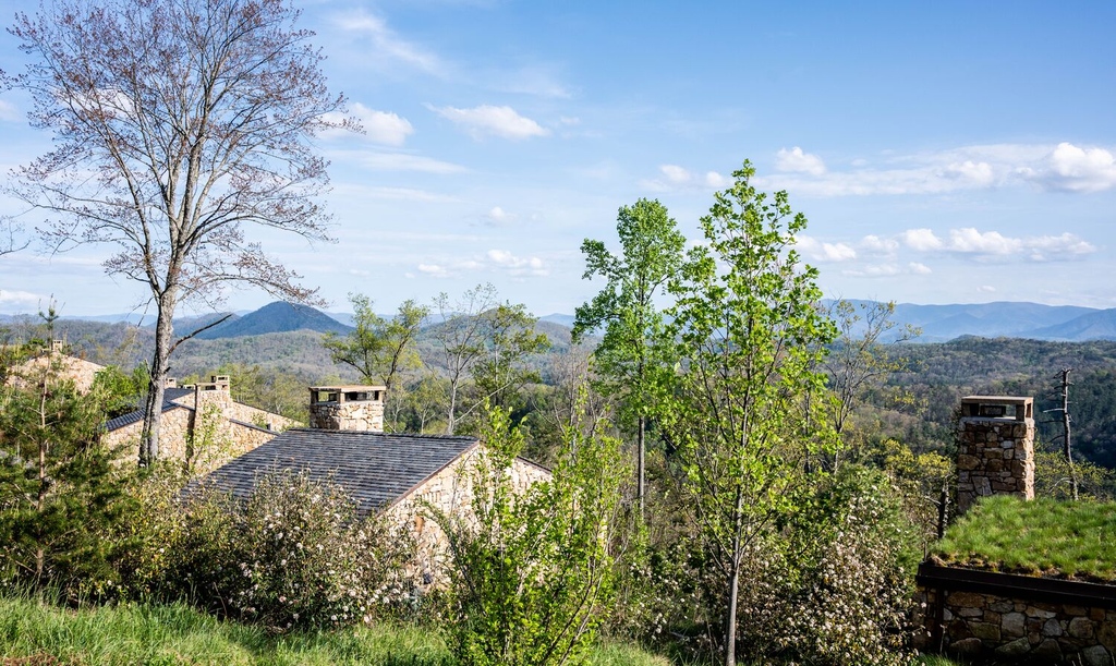 Blackberry Mountain tweet media