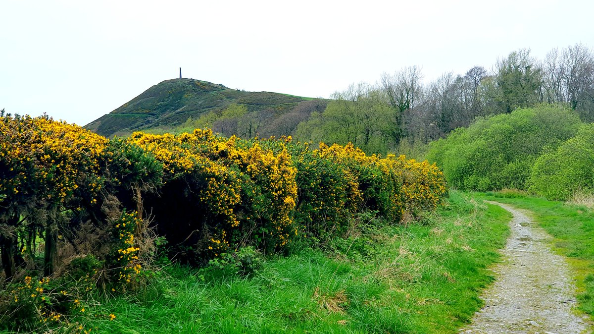 @Toby_Driver1 @OlafBayer1 @LouBarkerLou1 Had a lovely view of Pen Dinas from the path alongside the Afon Ystwyth today. #Aberystwyth #archaeology #HillfortsWednesday #hillfort #Wales