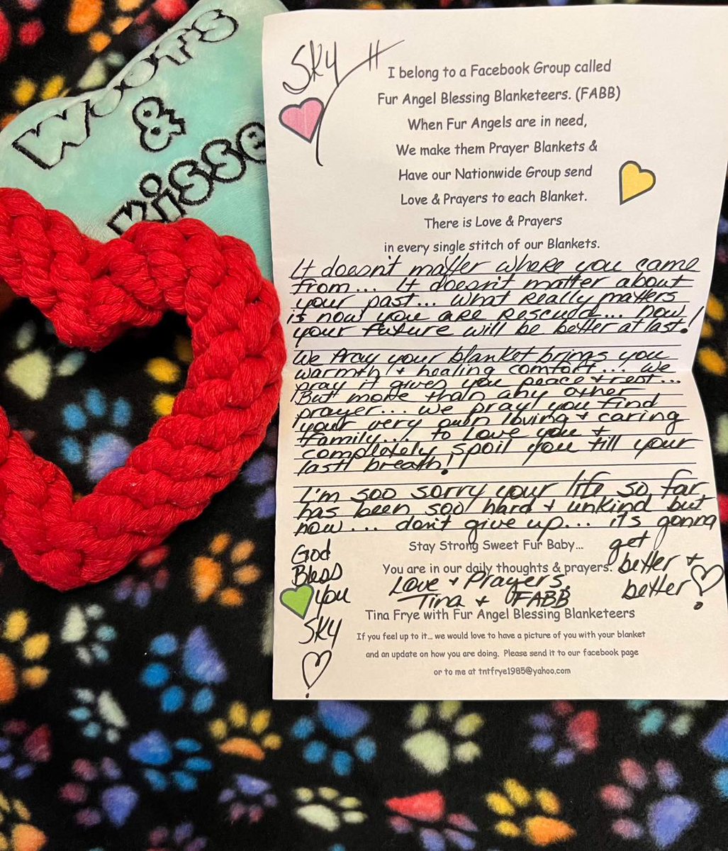 SKY got a Prayer Blanket from Fur Angel Blessing Blanketeers! 🙏🥰 From ThisisHouston: We love receiving prayer blankets for our babies! Majority of our pups get these beautiful handmade blankets with love & prayers in every stitch from Fur Angel Blessing Blanketeers (FABB).…