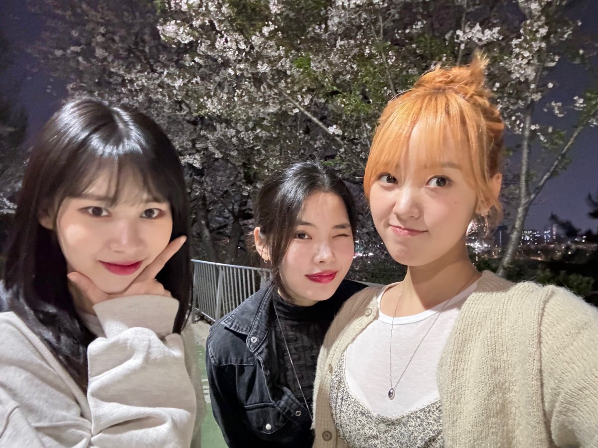 240410 [WEVERSE POST]
🌱 SEI
'We saw cherry blossoms too!!!🌸🌸🌸'
#WekiMeki #위키미키 #SEI #세이