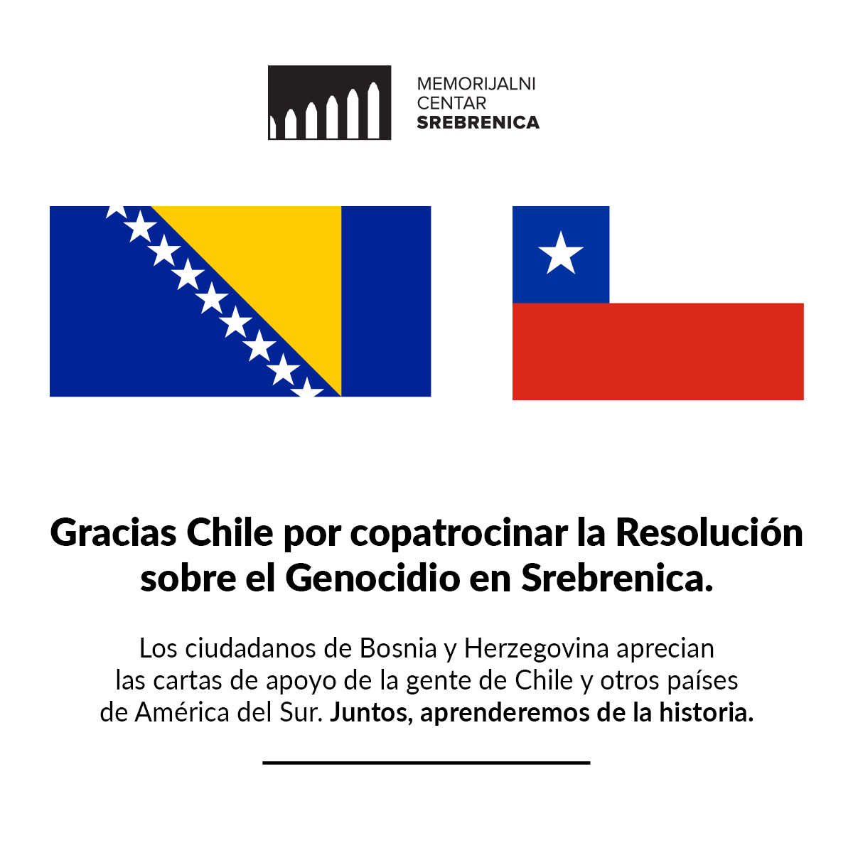 Gracias Chile por copatrocinar la Resolución sobre el Genocidio en Srebrenica. @Minrel_Chile @ChileMFA @AlbertoKlaveren @LagumdzijaZ 🇨🇱🤝🇧🇦