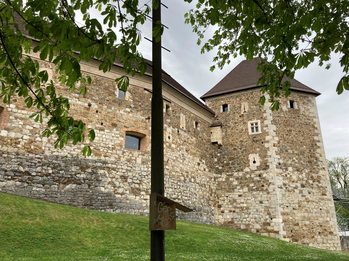 ColegauCymru's tweet photo. Roedd yna hefyd gyfle i'r grŵp ymweld â Chastell Ljubljana 🏰🇸🇮
@TaithCymru @RobBaynhamSport @SianHolleran #llesactif #addysgbellach #Slovenia https://t.co/P9bc0kwcc2