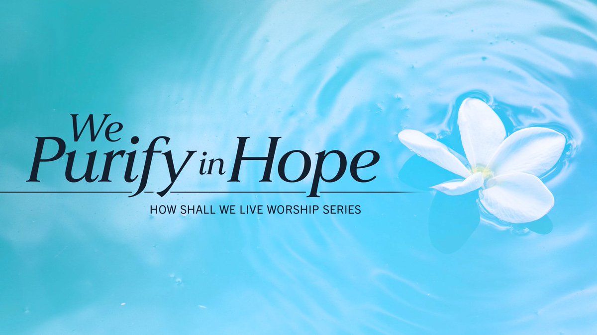 LowerMethodist's tweet image. Join us for worship this Sunday at 10:30.  Pastor Yosub's sermon will be "We Purify in Hope."  For those who would like to prepare in advance, we invite you to read 1 John 3:1-7 and Luke 24:36b-48.