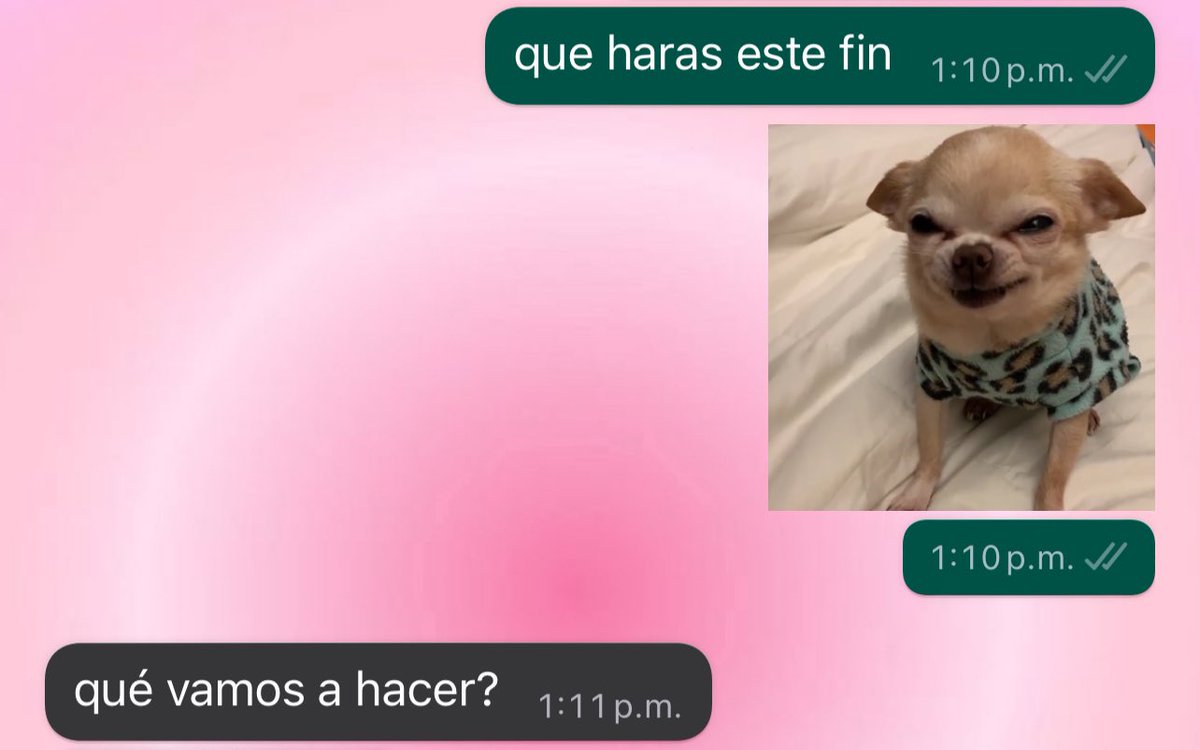 ASI SE CONTESTAAA >>>