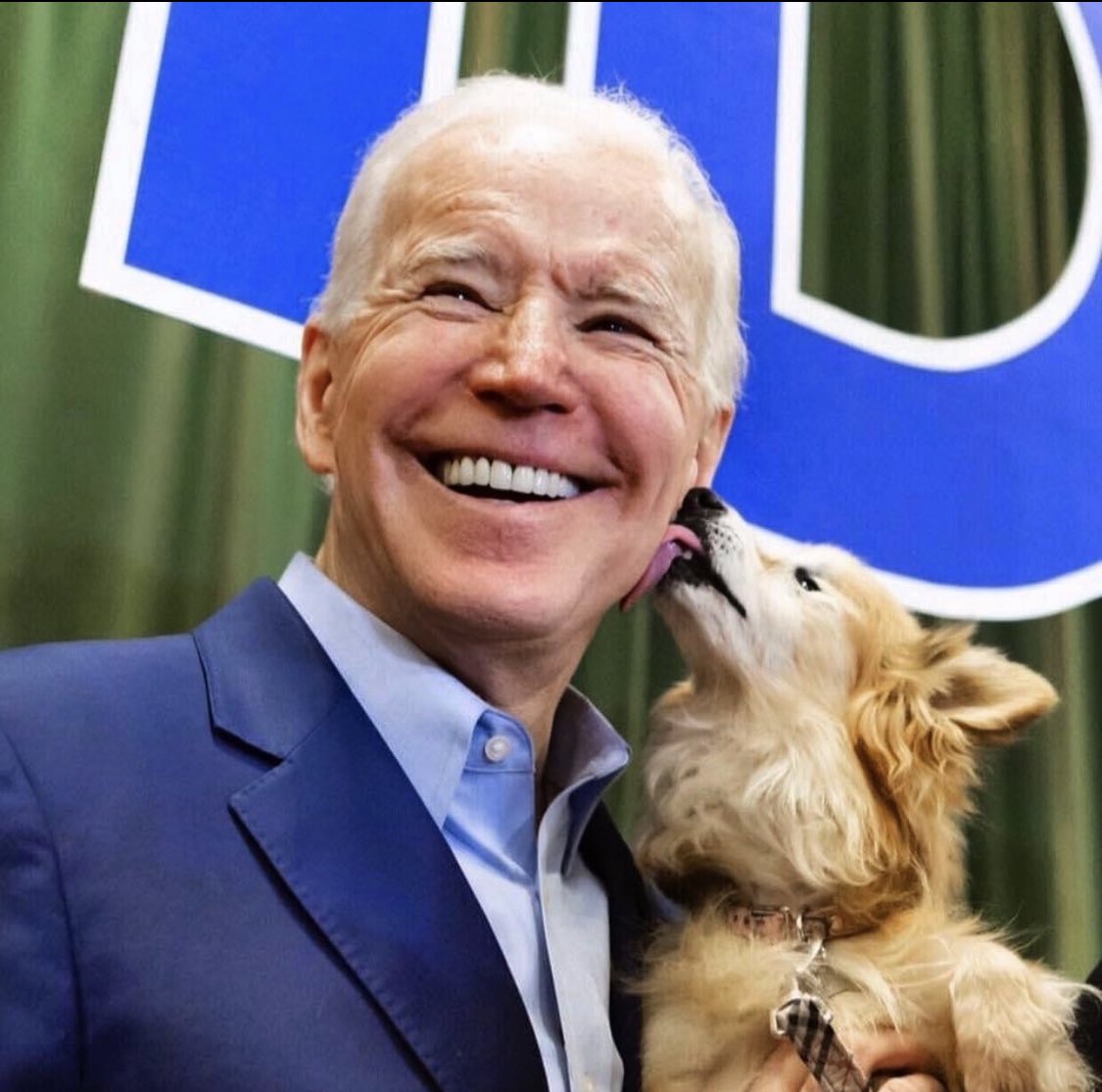 The People’s President: President Biden
He got the most important endorsement of all, that of my girl #RoadWarriorRoxy
#Biden2024