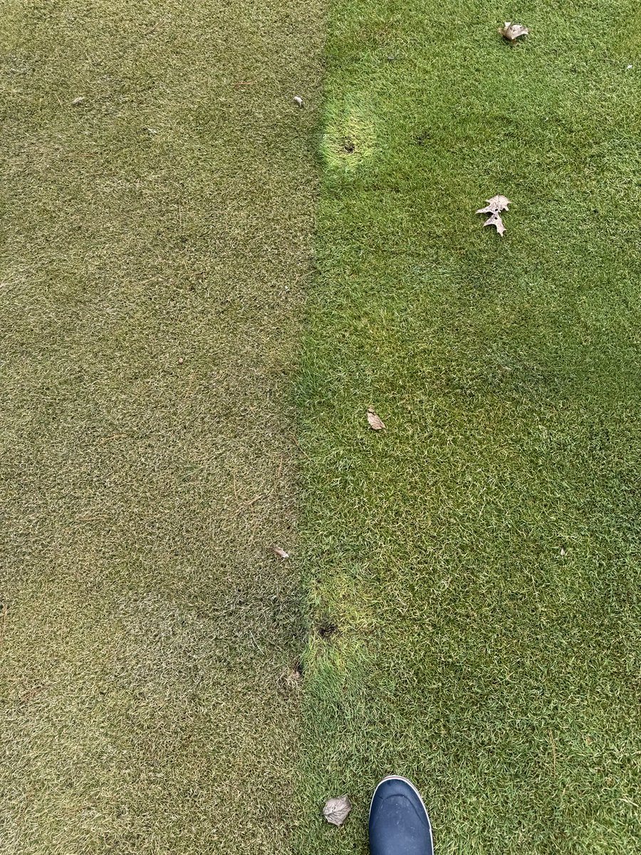 Tarps vs not
