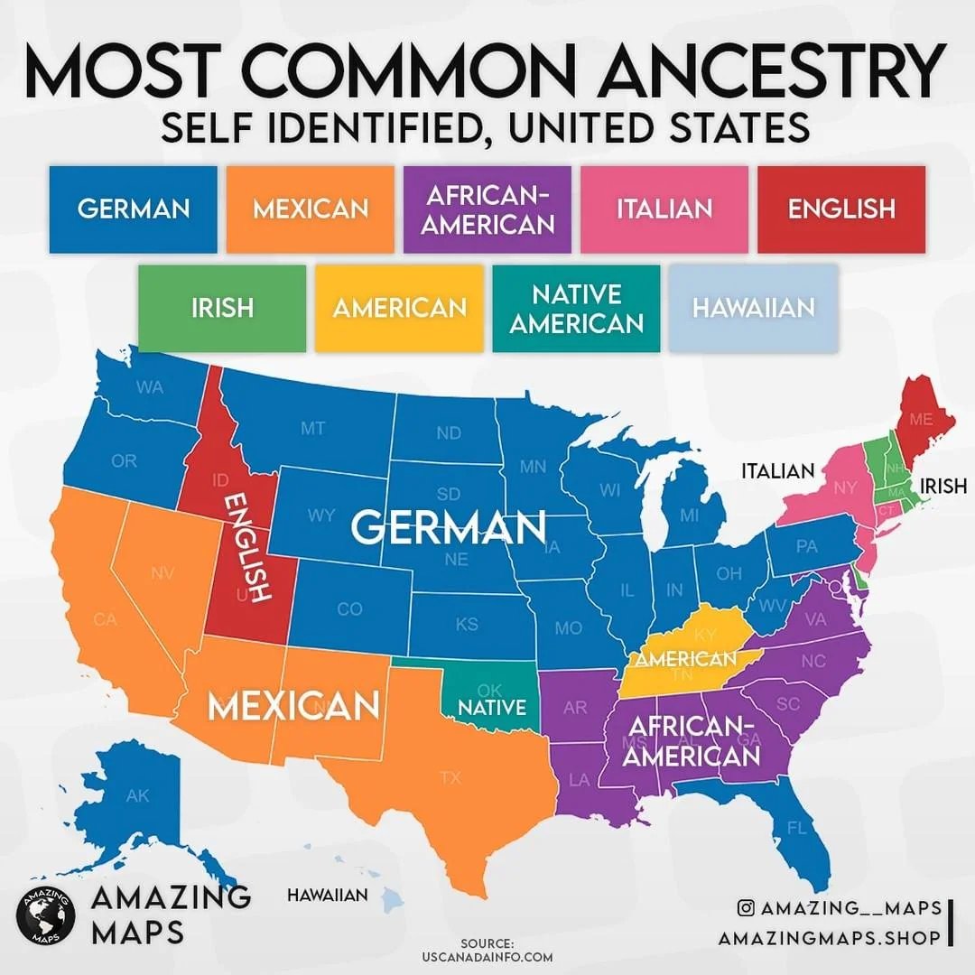 Most common ancestry in the US 🇺🇸