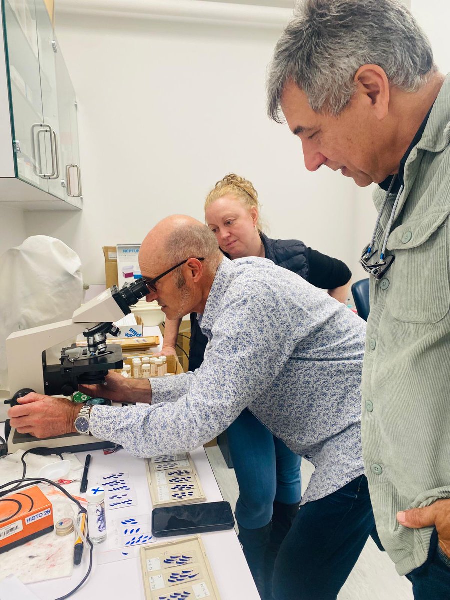 Karen Stockin (@karen_stockin) on Twitter photo Visit to School of Veterinary Science to catch up with the vet paths, histologists, epidemiologists and Head of Vet School <a href="/MasseyUni/">Massey University</a>, <a href="/IUSAeu/">IUSA_ULPGC www.iusa.eu</a>, <a href="/Toniovetpath/">Fernández Antonio</a>, <a href="/dtsh2/">David Hayman</a>, Stu Hunter, Wendi Roe, Matthew Perrott and Jon Huxley. Visit to School of Veterinary Science to catch up with the vet paths, histologists, epidemiologists and Head of Vet School <a href="/MasseyUni/">Massey University</a>, <a href="/IUSAeu/">IUSA_ULPGC www.iusa.eu</a>, <a href="/Toniovetpath/">Fernández Antonio</a>, <a href="/dtsh2/">David Hayman</a>, Stu Hunter, Wendi Roe, Matthew Perrott and Jon Huxley.
