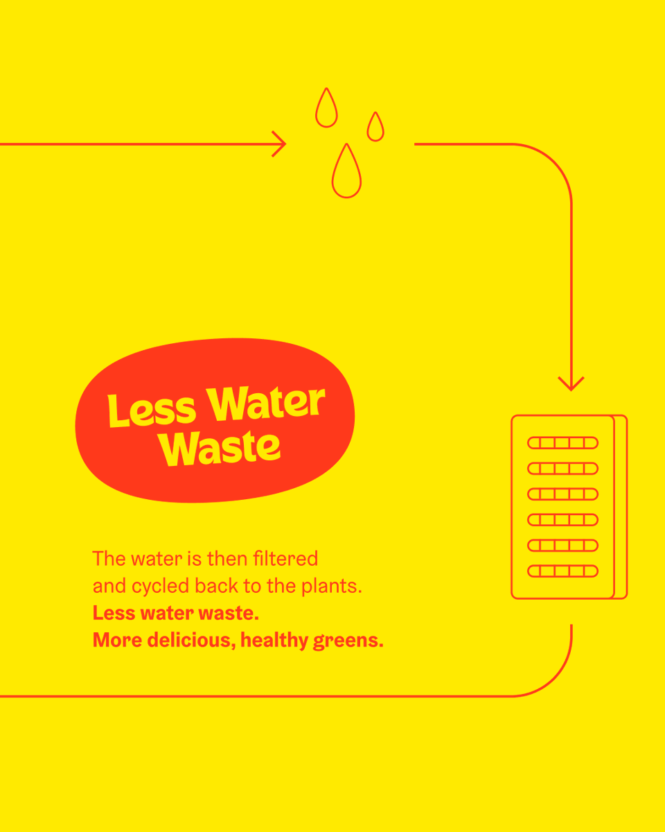 💧Water is one of the world’s most precious resources, but we need big, scalable solutions to ensure everyone has continued access to clean, fresh water. Swipe to learn a bit about how Plenty uses water a lot differently than the field to grow more greens per acre.