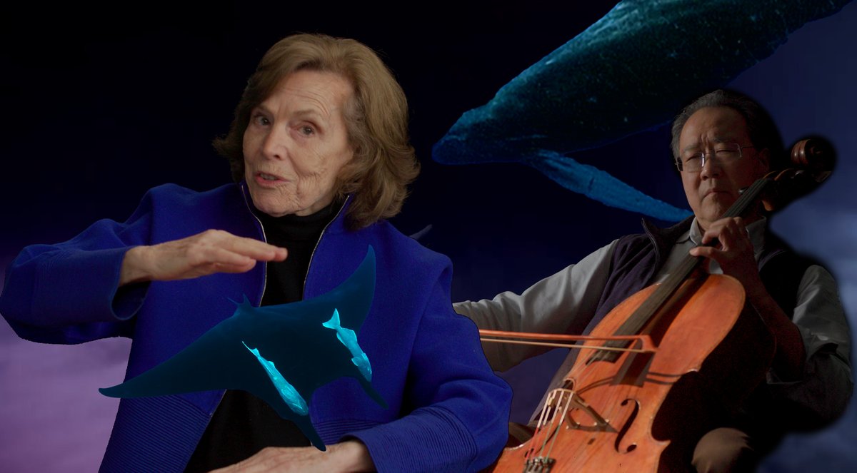 MissionBlue's tweet photo. On Friday, April 12 see See 'Deep Trouble' featuring
@SylviaEarle and @YoYo_Ma at the @oceanfilmfest! #IOFF
Find more info and tickets here: https://t.co/s7ftiywJ4w https://t.co/XR1IqAQEtu