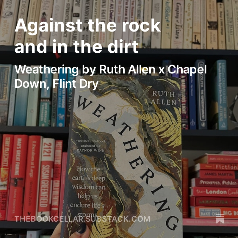 Harriet Allner 💸📚✨ tweet media