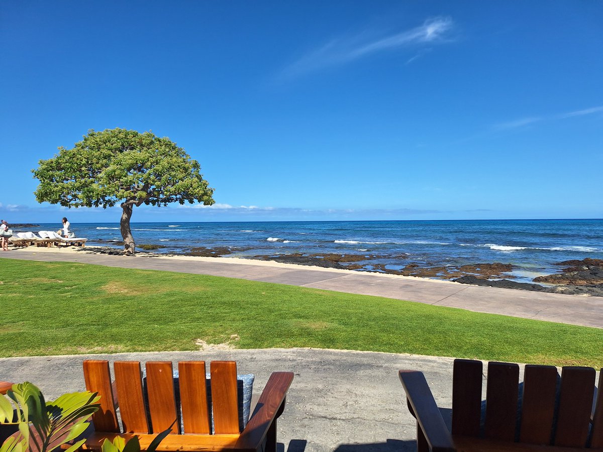 Breakfast on the beach ⛱️ #breakfast #kona #hawaii #fshualalai #instadaily #peace #ocean #igdaily #bestoftheday #Ig #goodtimes #happiness #picoftheday #beach #photooftheday #heat #2024 #photography 🌴🌺✨️
