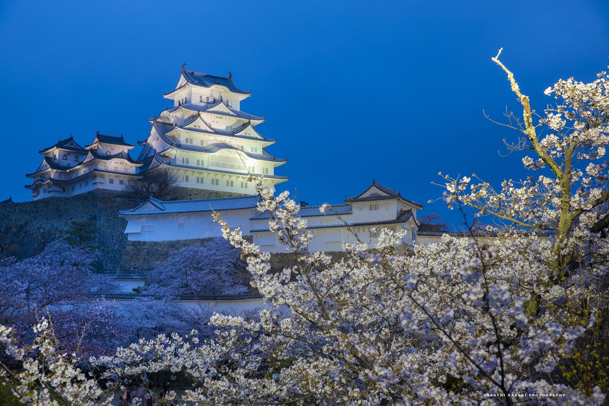 「宴」 まさに春爛漫な世界遺産。 #兵庫県 #姫路城 #世界遺産