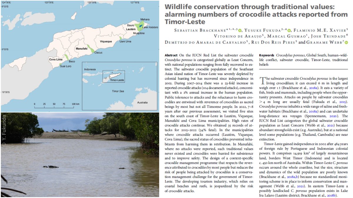 New! Brackhane et al. report on human–crocodile conflict & traditional values in Timor-Leste, adding to their previous assessment 8 years prior. Their new data indicate that saltwater crocodile attacks on the island are still occurring at an alarming rate🐊doi.org/mq53