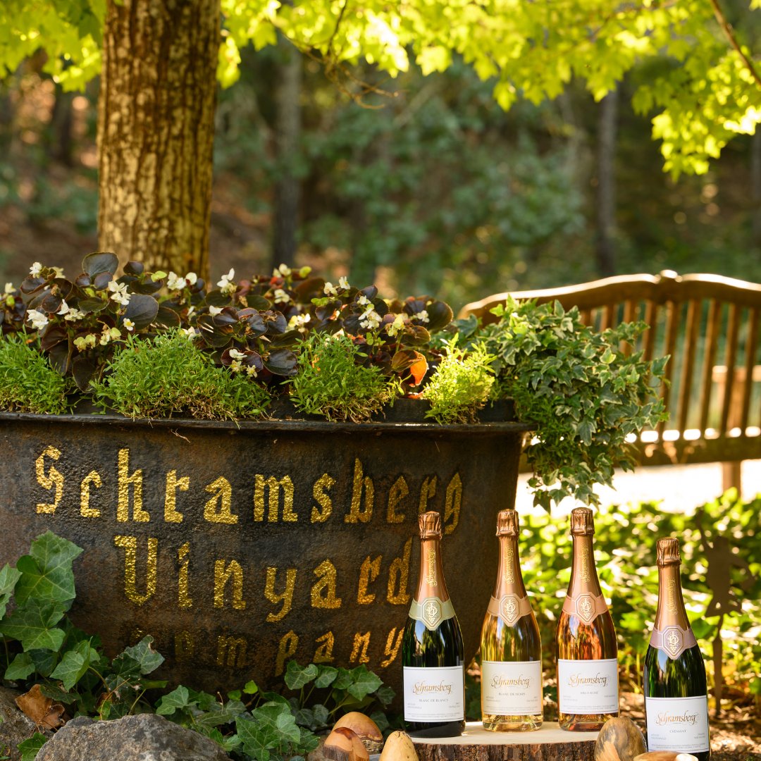 Schramsberg's tweet photo. Experience the epitome of American sparkling wine with the classics; Blancs, Noirs, Rosé, and Crémant Demi-sec. 🍾🥂

#schramsberg #sparklingwine #methodetraditionelle #methodechampenoise #popfizzclink #americansparklingwine https://t.co/W2jH6Ass8Q